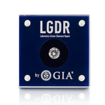 Loose LGDR Diamond Display Case