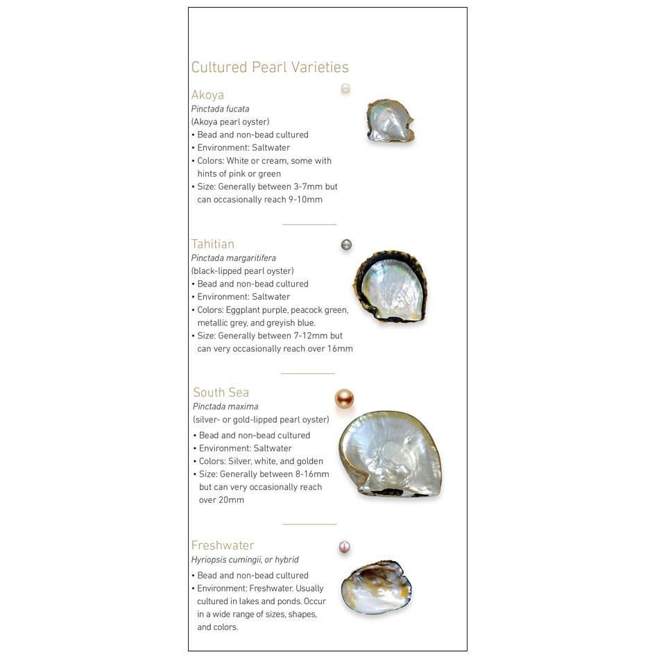 7 Pearl Value Factors brochure panel, featuring bulleted information about 4 varieties of pearl
