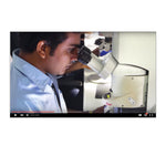 Video thumbnail, featuring gemologist looking through microscope