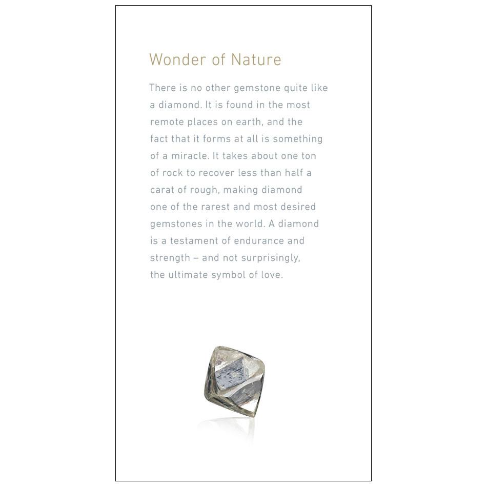Brochure page with heading "Wonder of Nature", text, and rough diamond